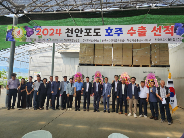 하늘유통 이미지
