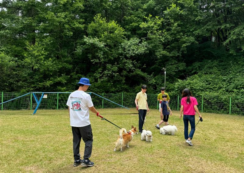 국립자연휴양림관리소(산음자연휴양림) 이미지