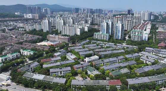 수지도나 이미지