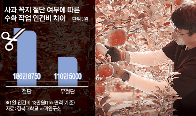 더신선유통 이미지