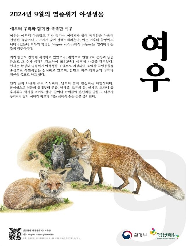 여우네 이미지