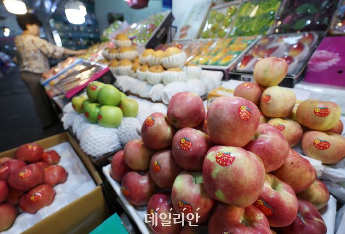 배**-7 이미지