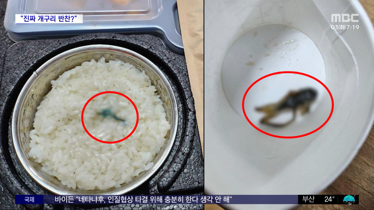 [와글와글 플러스] 건설 노동자 도시락에 개구리 반찬? - kakaoTV [와글와글 플러스] 건설 노동자 도시락에 개구리 반찬?