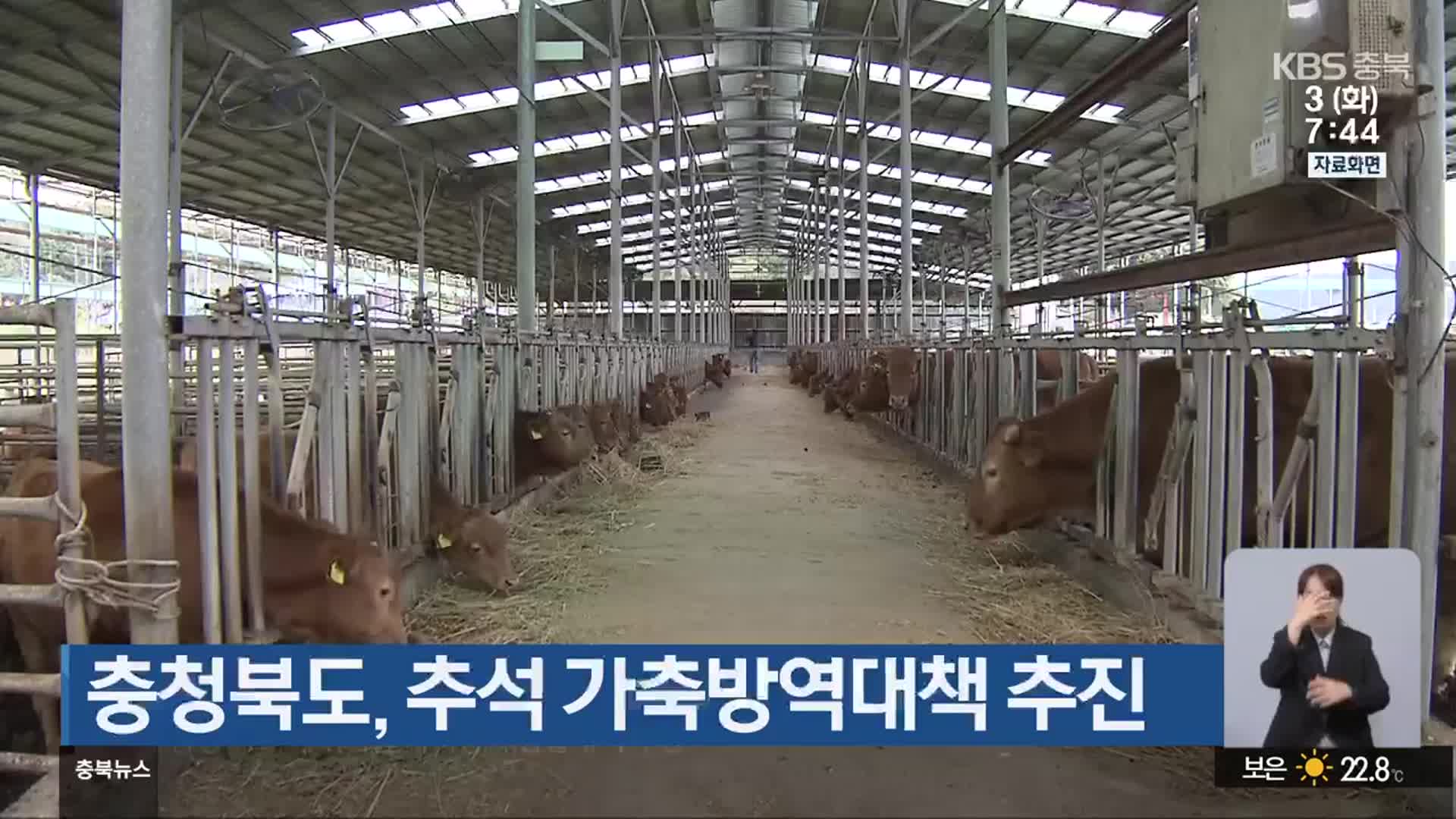 충청북도, 추석 가축방역대책 추진 - kakaoTV 충청북도, 추석 가축방역대책 추진
