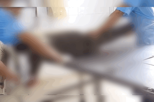 영상 = 유튜브 'PeTA ASIA' 캡처