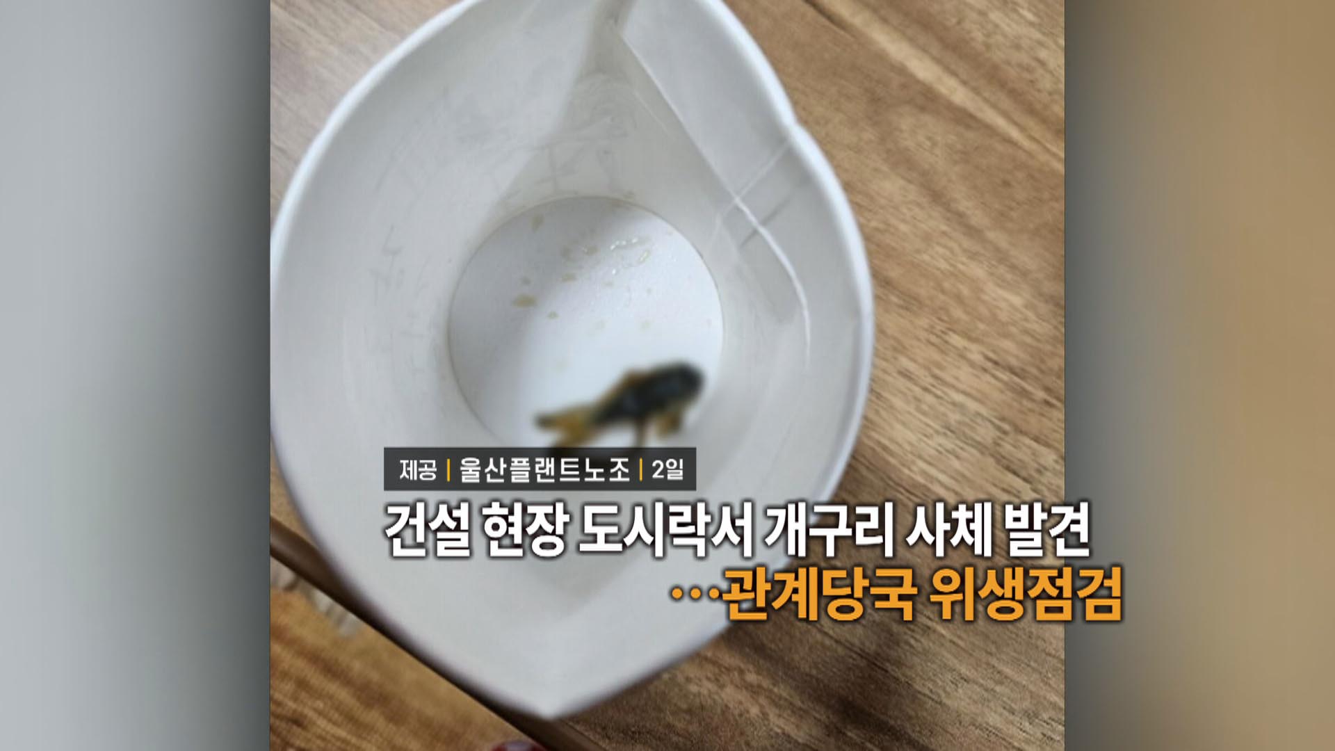 [영상구성] 건설현장 도시락에 개구리 사체…관계당국 위생점검 外 - kakaoTV [영상구성] 건설현장 도시락에 개구리 사체…관계당국 위생점검 外