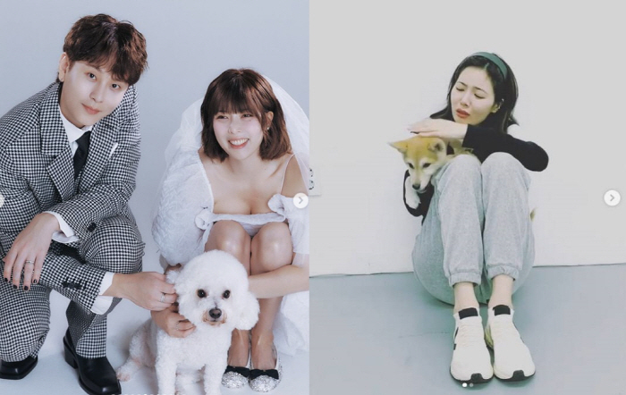 현아 이미지