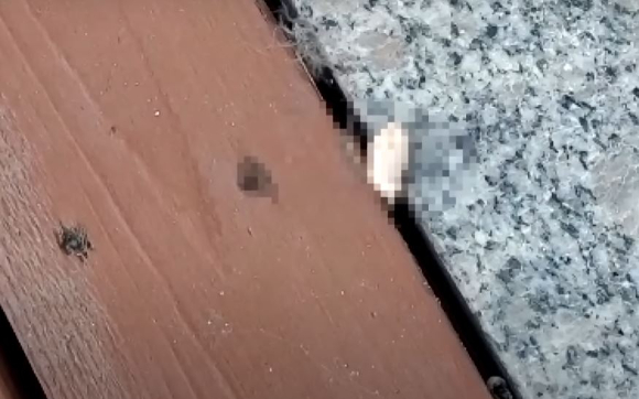 카페옆집 이미지