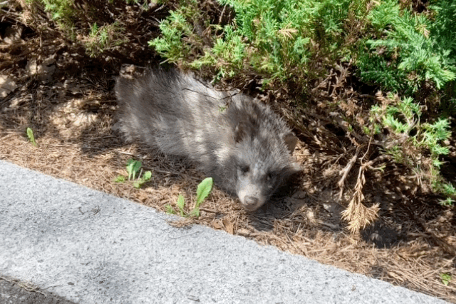 사진 = 인천시설공단 제공