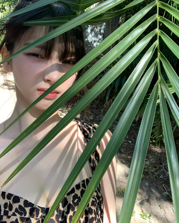 카리나 이미지