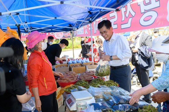 장터야채 이미지