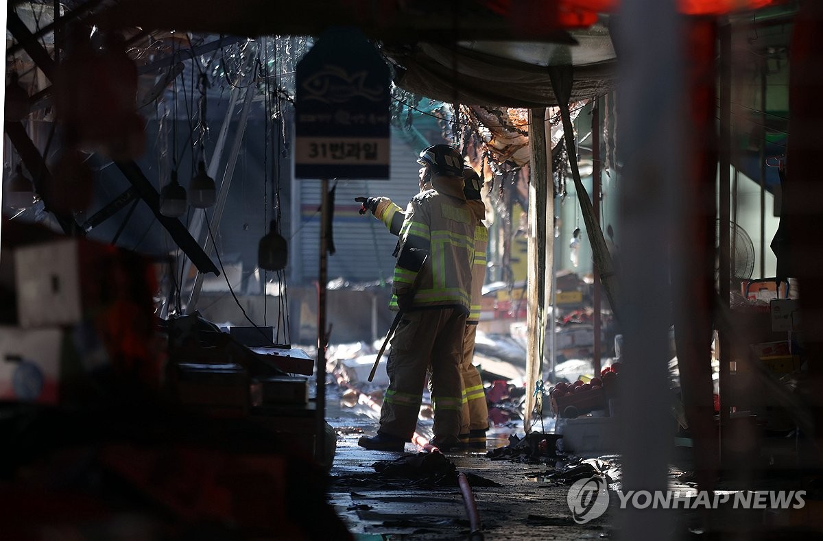 대원청과 이미지