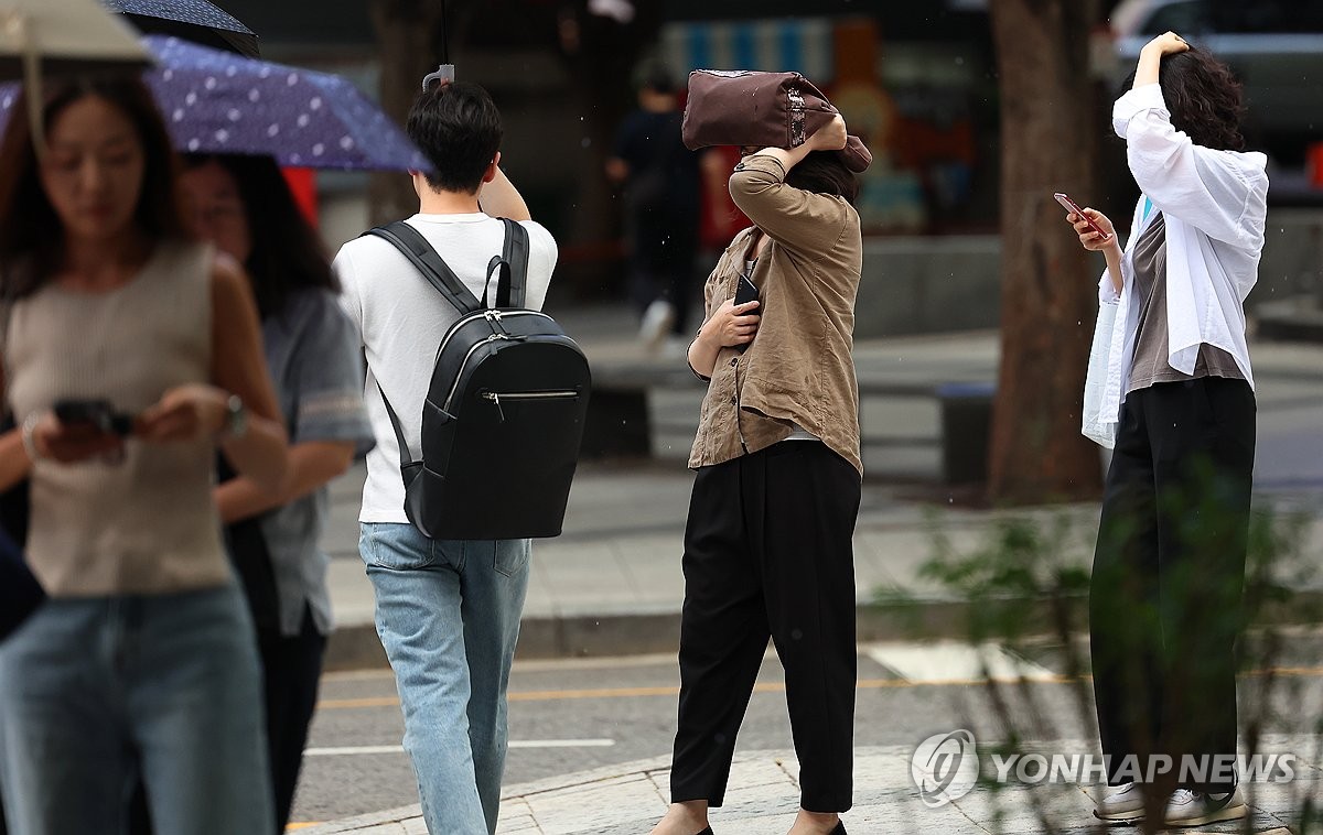 소나기 이미지