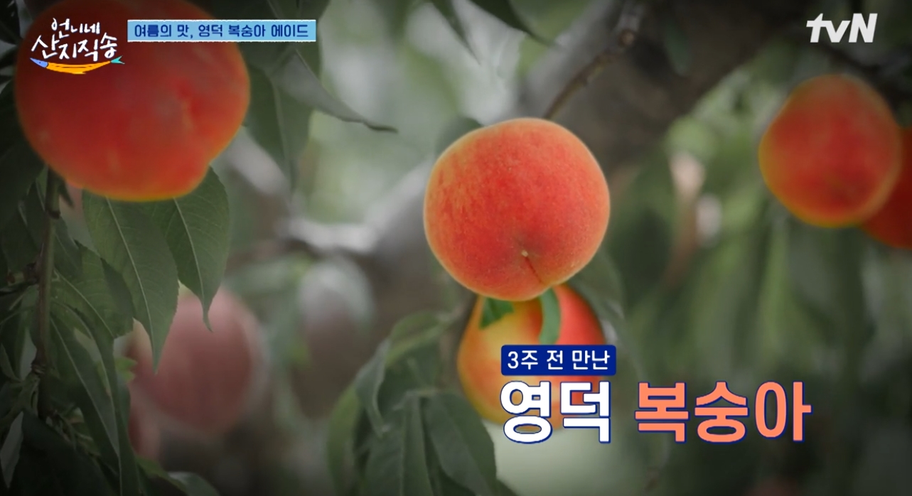 수제홀릭 이미지