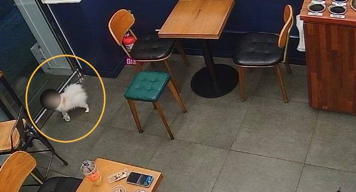 무인카페 이미지