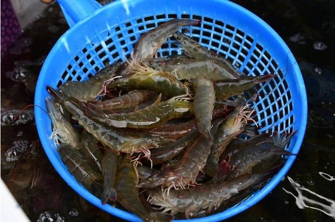 대하 이미지