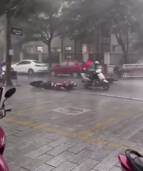 슈퍼태풍 '야기'가 동반한 강풍에 쓰려지는 베트남 하노이 시민 /영상=X