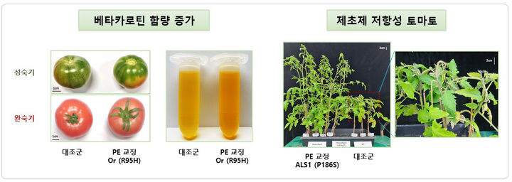 프라임개발 이미지
