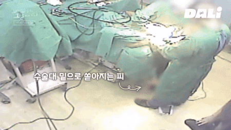 (SBS '꼬리에 꼬리를 무는 그날 이야기')