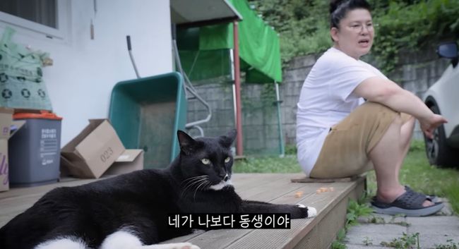신발도둑 이미지