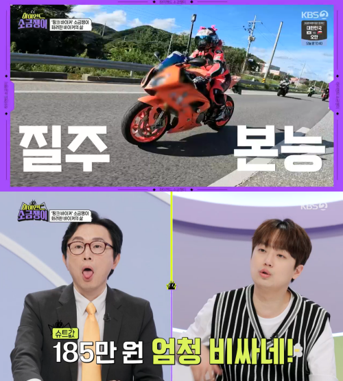 소금쟁이 이미지