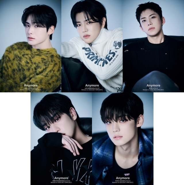 에이스 이미지
