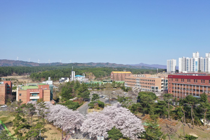 정주상회 이미지
