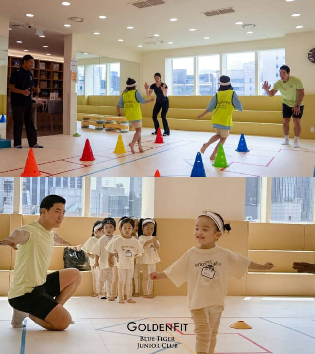 타이거코퍼레이션 이미지