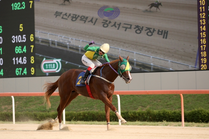 클리어 이미지
