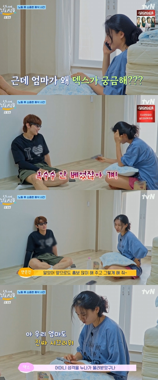 언니네 이미지