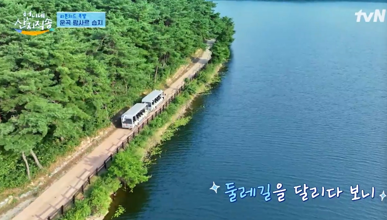 먹거리언니네 이미지