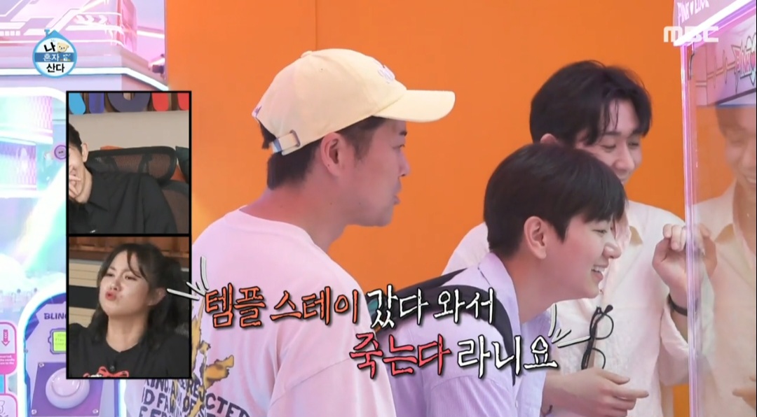 코쿤 이미지