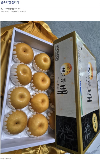배가기업 이미지