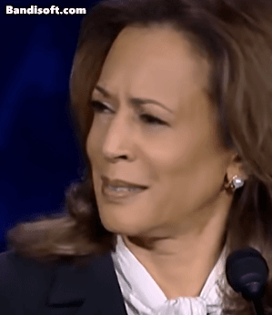 지난 10일(현지시간) 미국 대선 TV토론에 참여한 민주당 대선 후보 카멀라 해리스 부통령이 공화당 대선 후보인 도널드 트럼프 전 대통령의 주장에 당황스러운 표정을 지으며 웃고 있다. [유튜브 캡처]