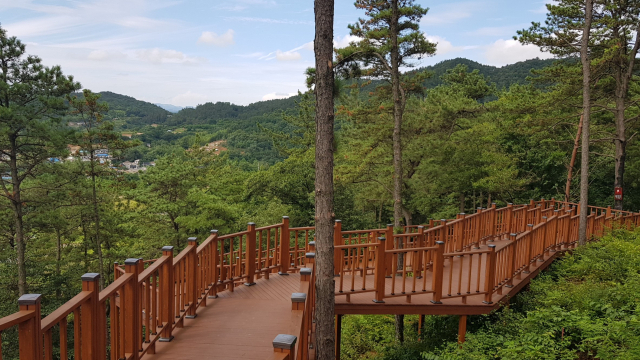 전라남도 유아숲체험원 이미지