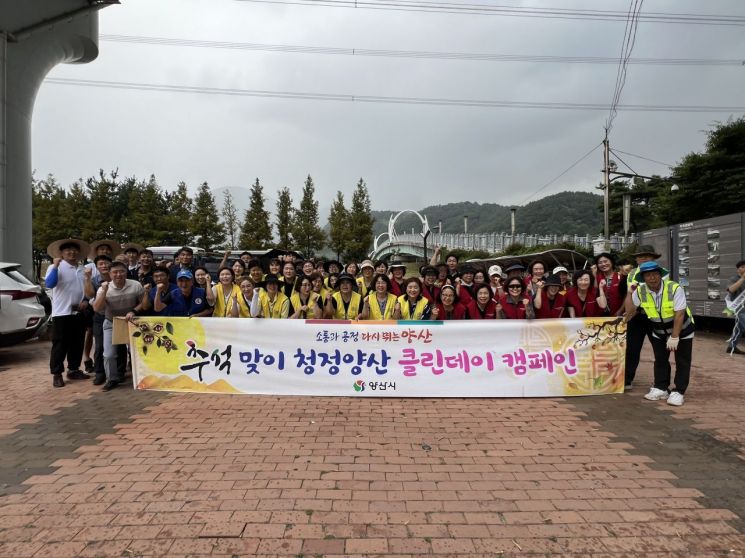 클린데이 이미지