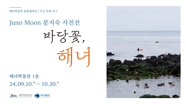 해녀랑 이미지