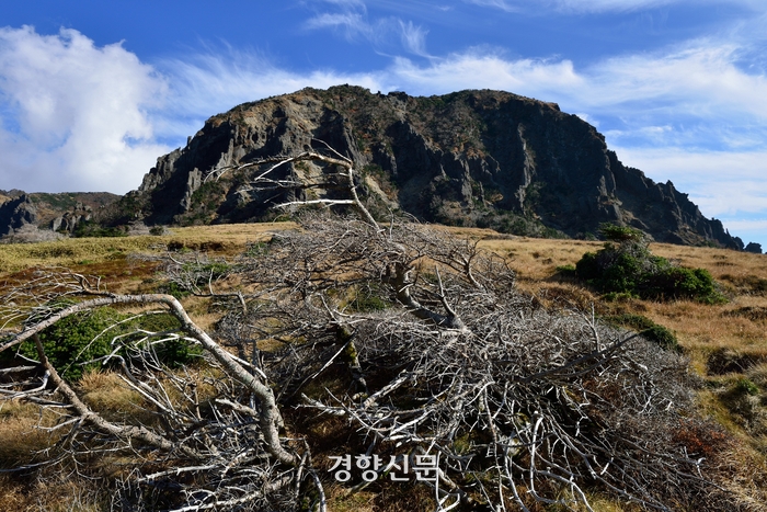 구상 이미지
