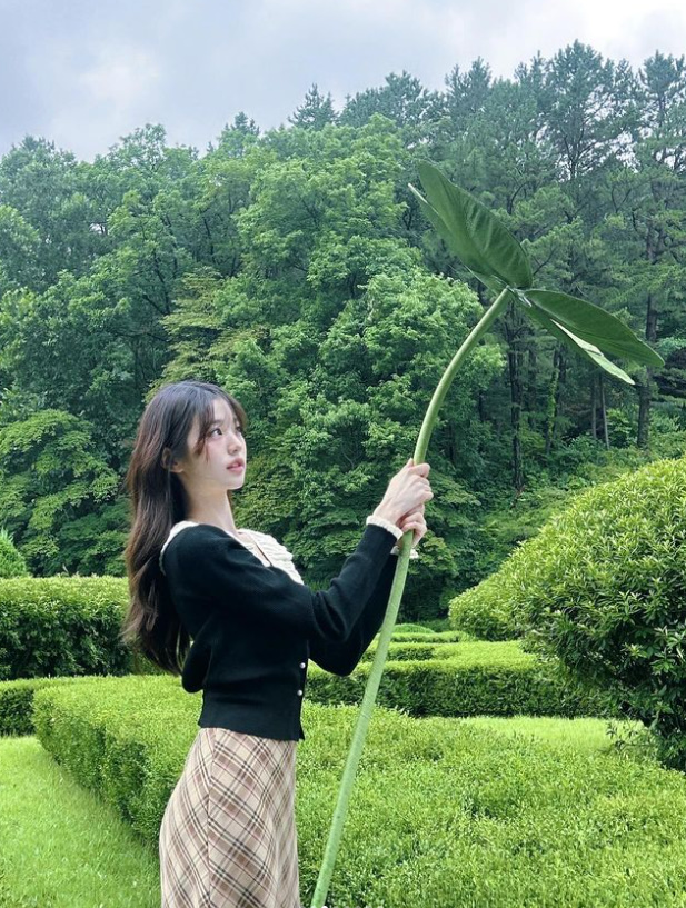 비키 이미지