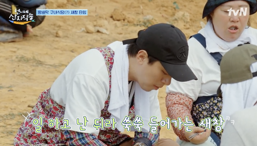 돼지오빠 이미지
