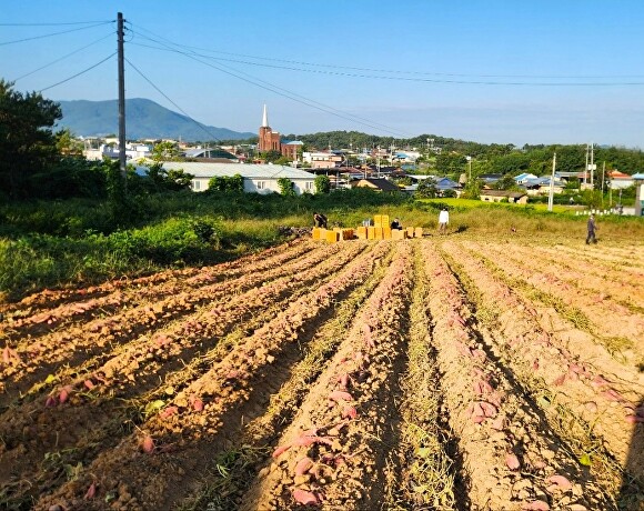(주)의성 이미지