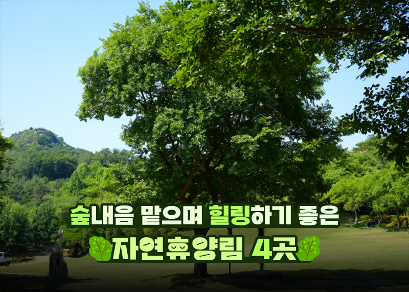자연내음 이미지