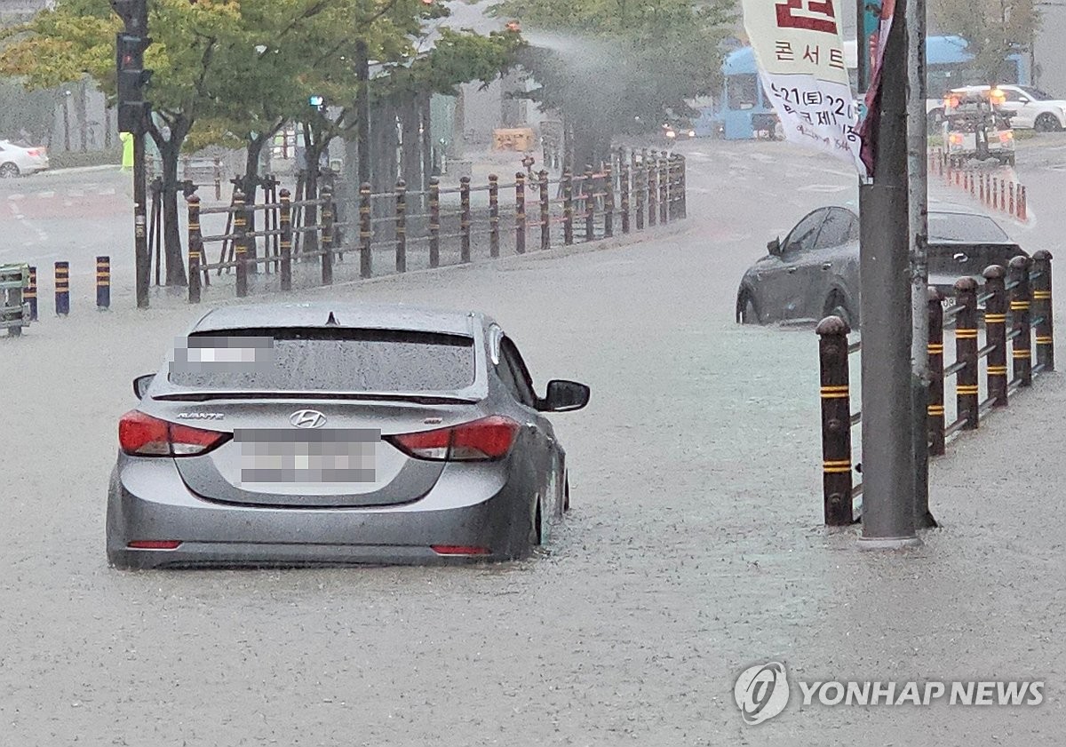 만조 사진 4