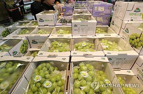 샤인 이미지
