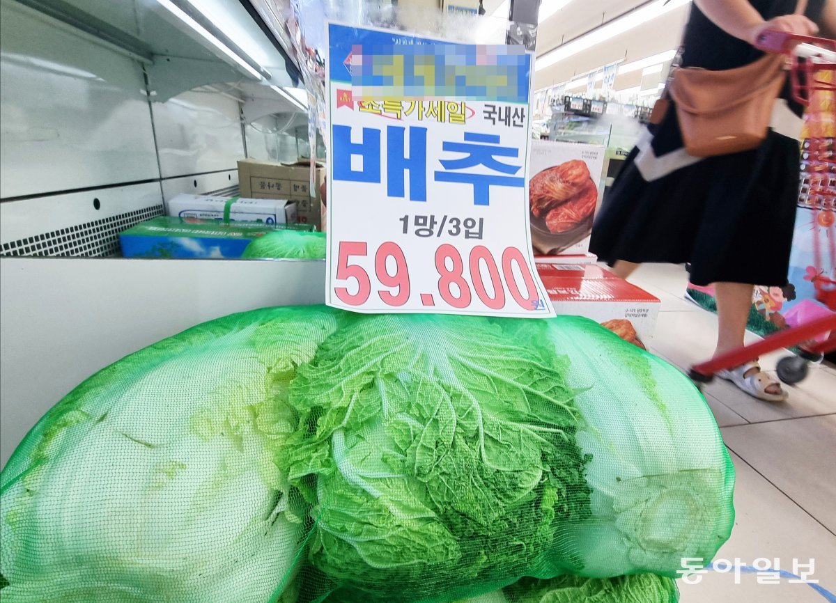서서울농협 하나로마트 사직점 이미지