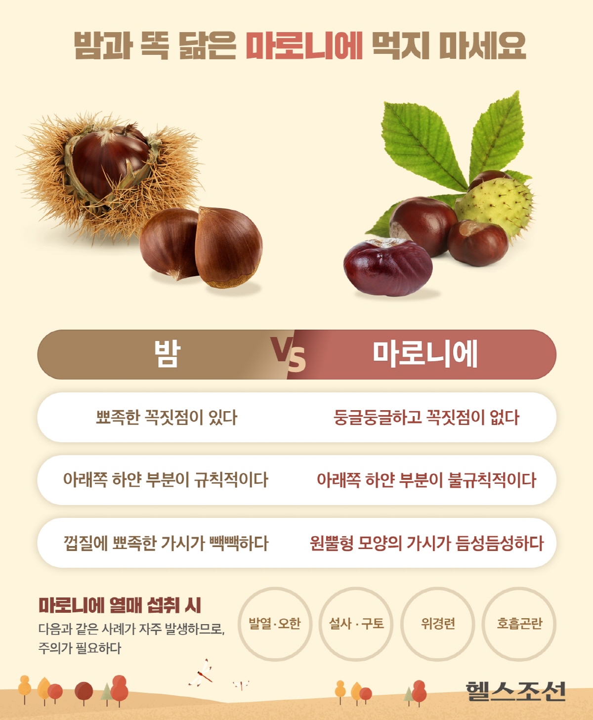 열매 이미지