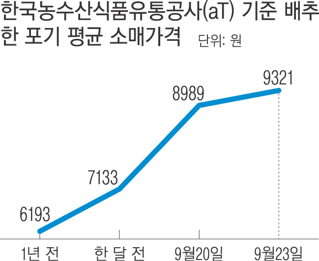 더마트24축산 이미지