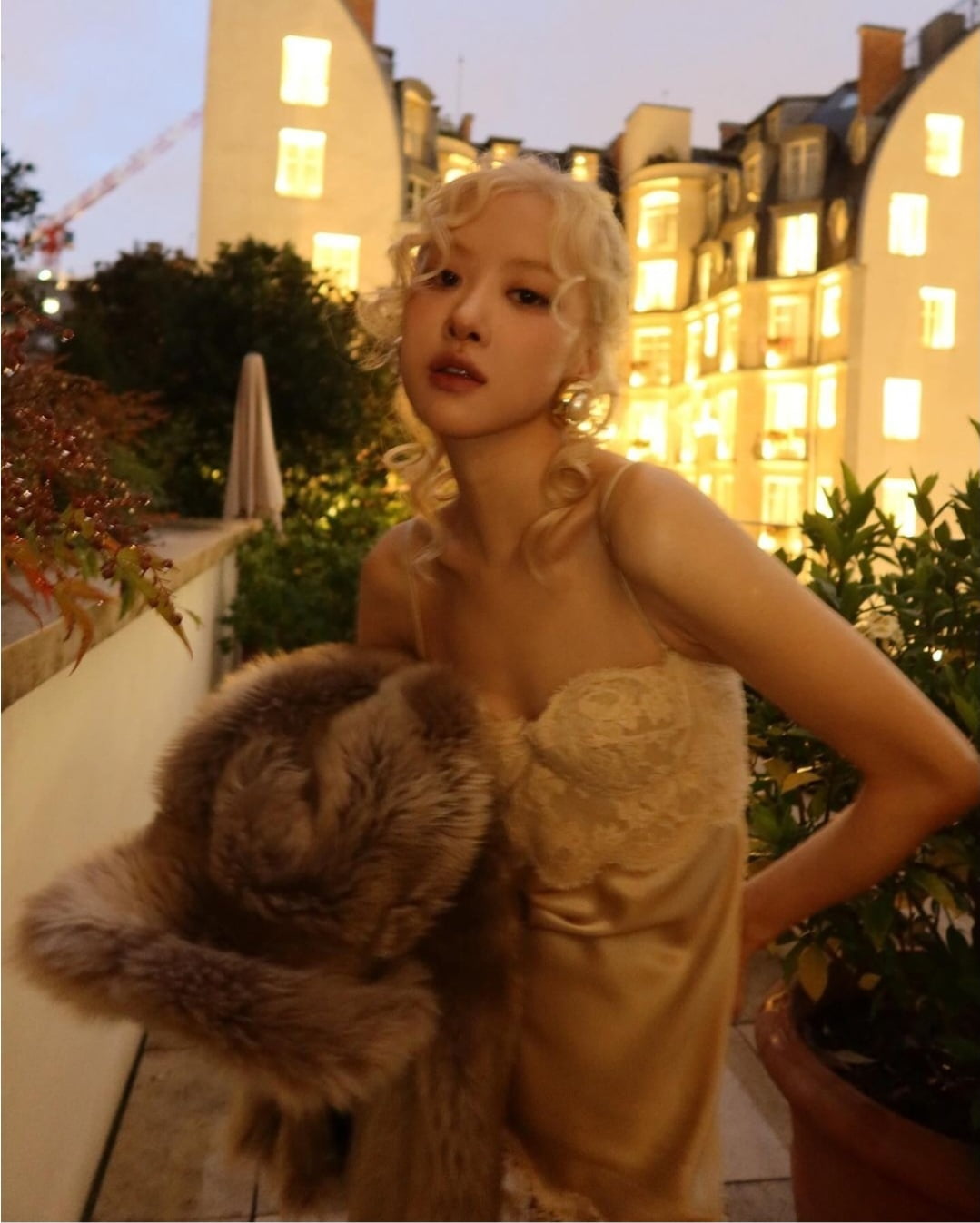 로제 이미지