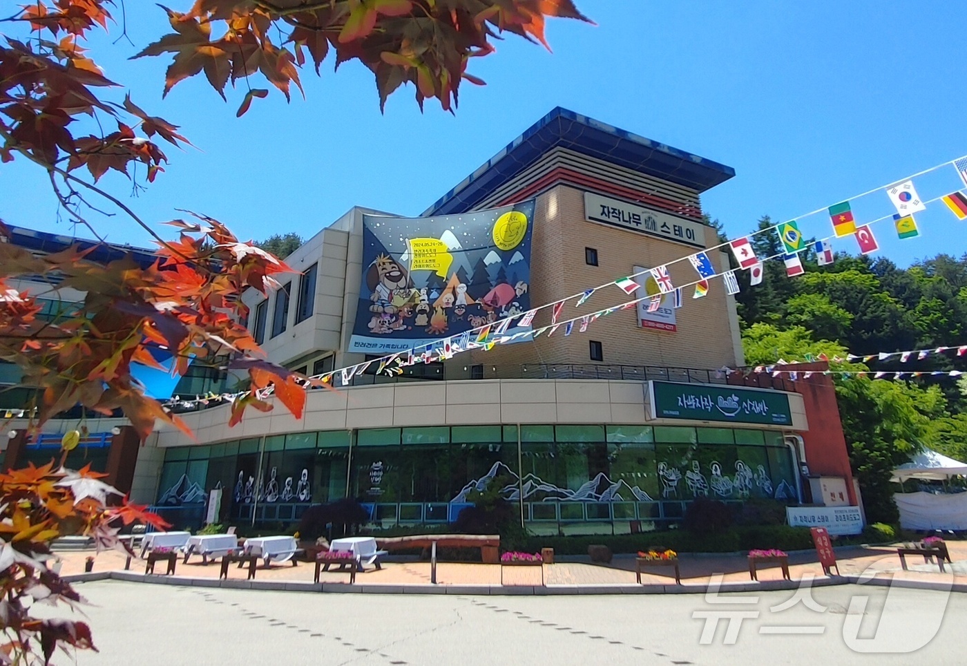 라이프위드도그 이미지