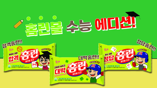 홈런볼 이미지